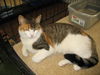 Gina ADOPTED