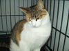 Gina ADOPTED