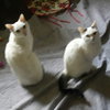 Bentley and Lucy