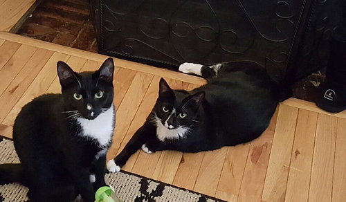 Buby & Lily