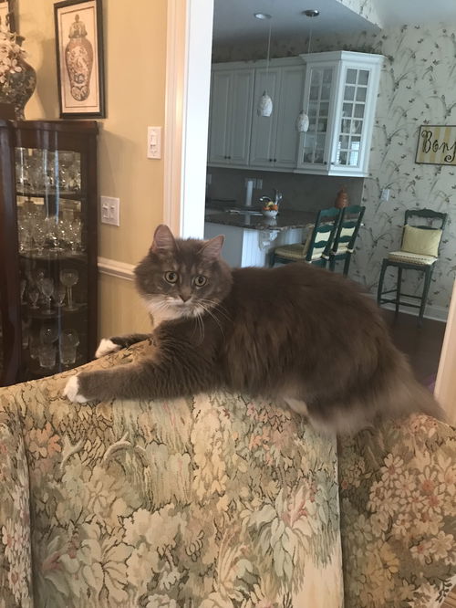 Eloise
