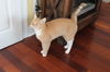 Tiggs