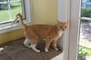 Tiggs
