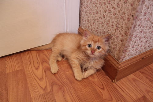 Beaker