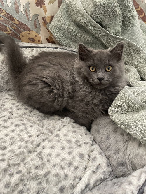 Sophie
