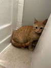 Tigger