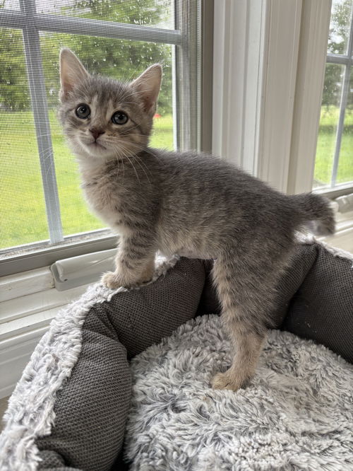 Chloe