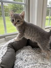 Chloe