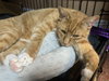 Duncan