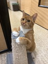 Duncan