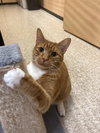 Duncan