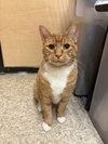 Duncan