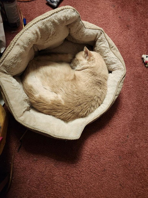 Finn-Fiv Positive photo 2