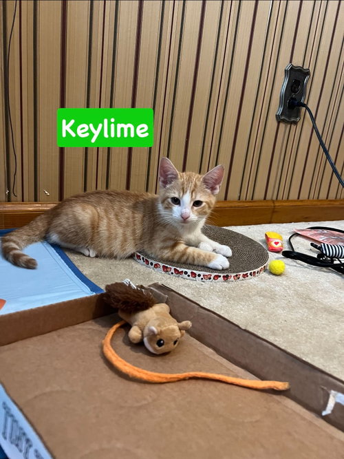 Keylime