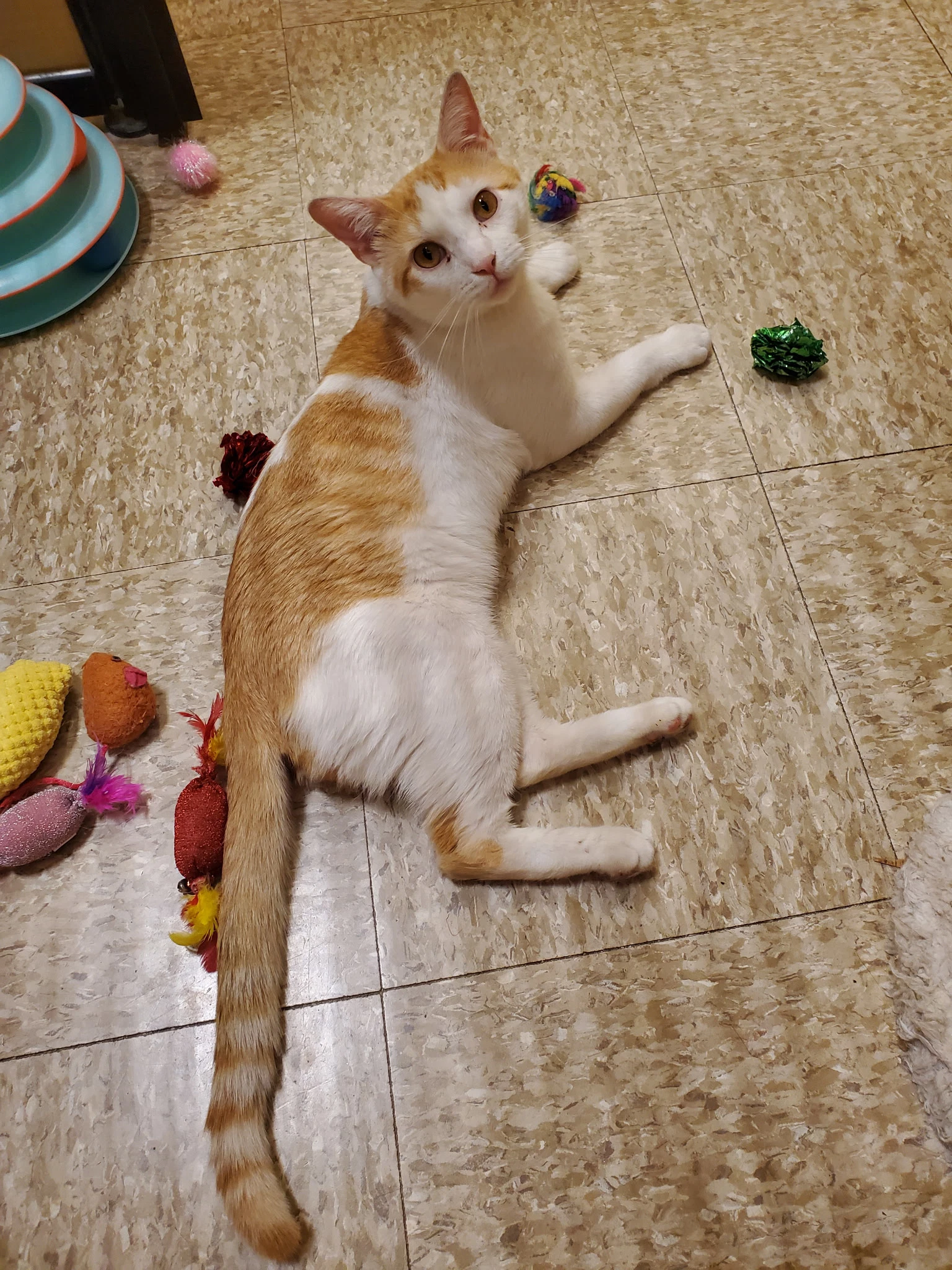 Leo