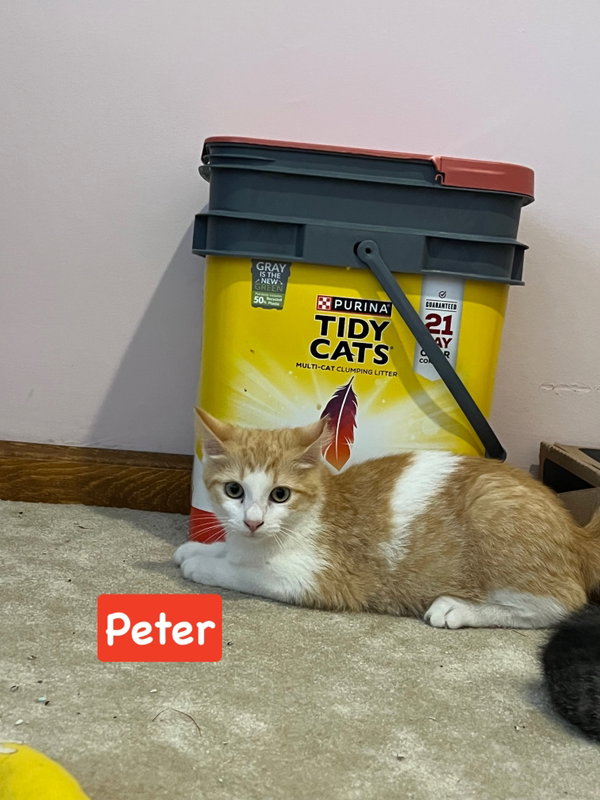Peter