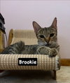 Brookie