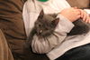 Graydy