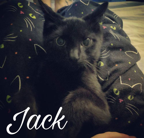 Jack