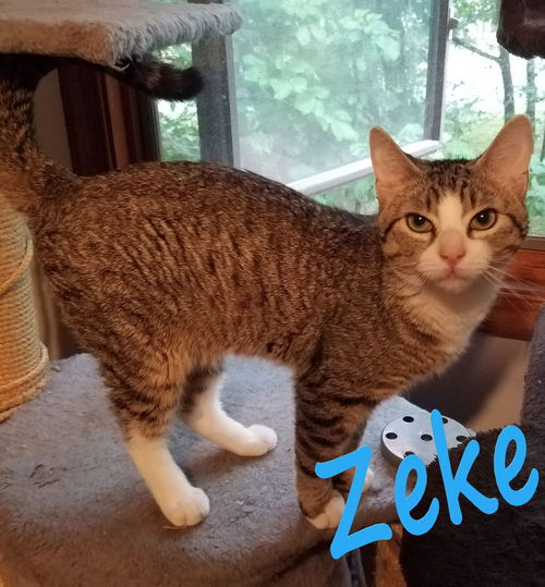 Zeke