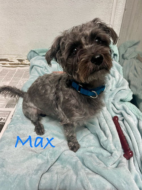 Max