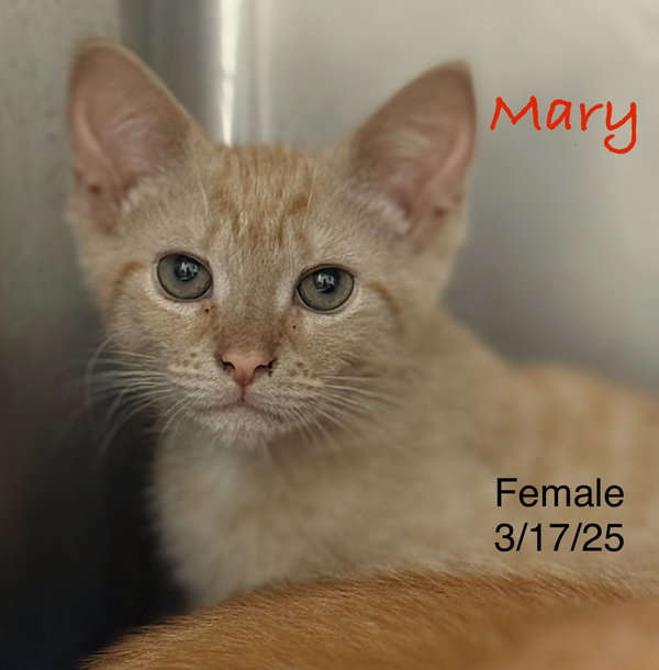 Mary