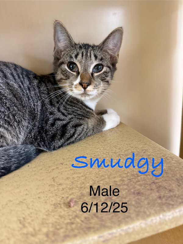 Smudgy
