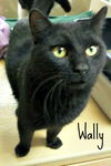 Wally (2)