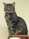 Cleopatra - Photo 3