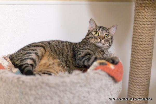 Cleopatra