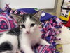 Tinker - Photo 2