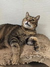 Skittles - Photo 2