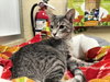 Gerri - Photo 3