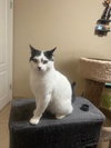 Benny - Photo 1