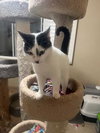 Benny - Photo 4