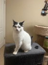 Benny - Photo 3