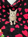 Cinder - Photo 4