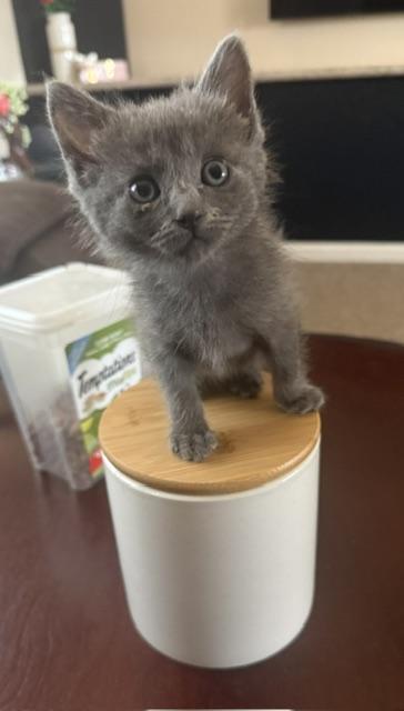 Luna