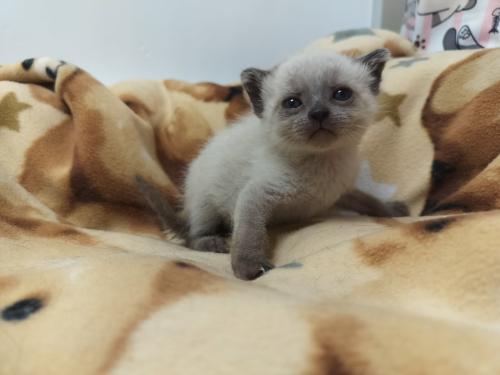 Ice photo 4