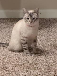 Astrid photo 2