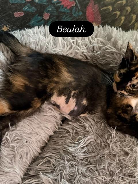 Beulah photo 2