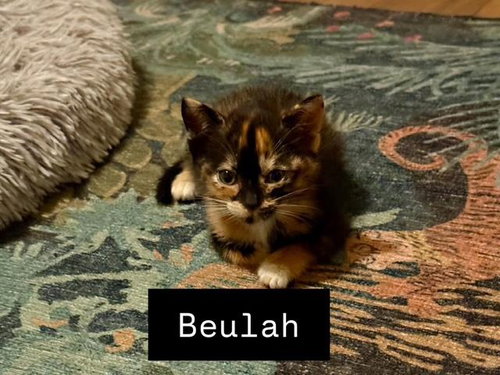 Beulah photo 3