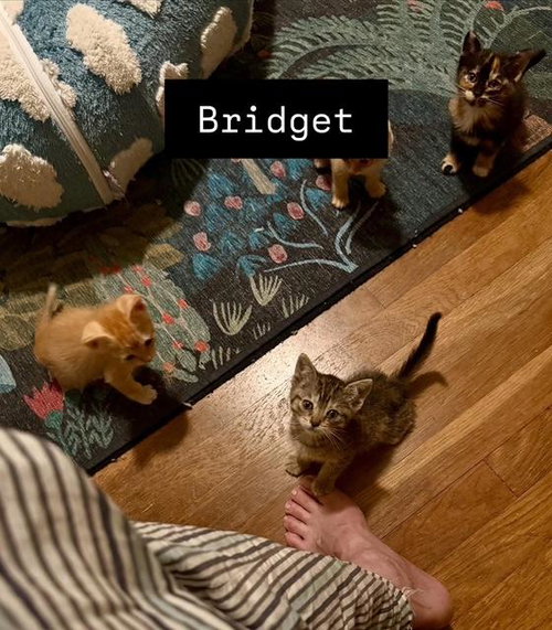 Bridget photo 3