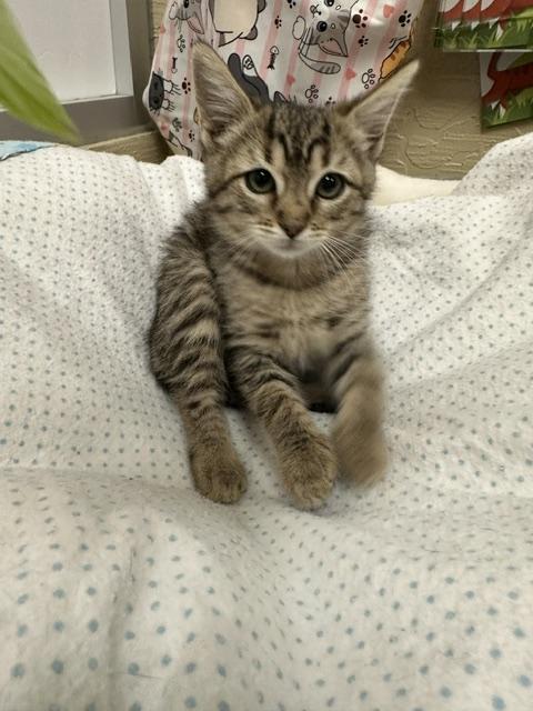 Carmie photo 4