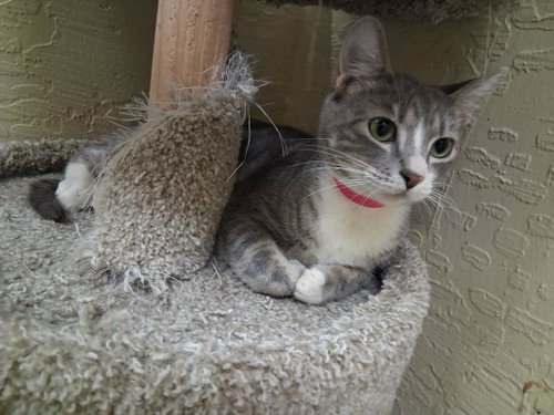 Edith photo 4