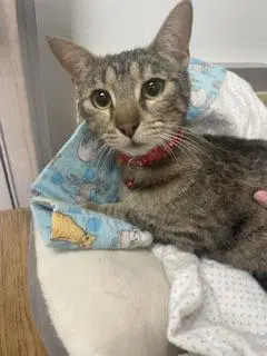 Mia image 2