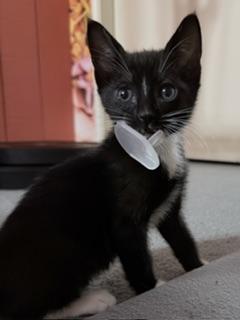 Binky photo 2