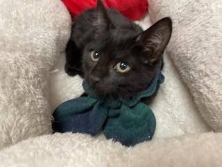 Zora photo 2