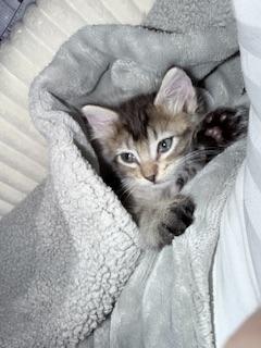 Timmy photo 4