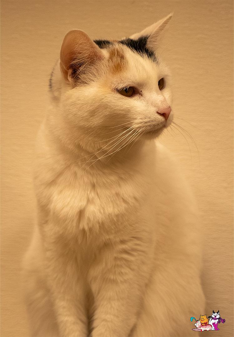 SnowPea